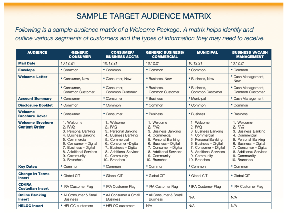 Sample Audience Matrix | Bank Merger Marketing